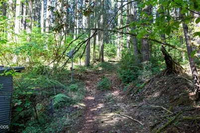 24331 Bolton Hill Road, Veneta, OR 97487 - Photo 42