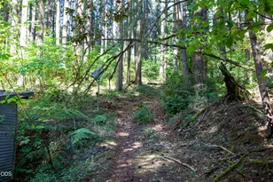 24331 Bolton Hill Rd, Veneta, OR 97487 - Photo 42