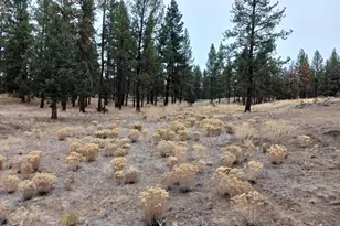 0 Arrowhead Ln, Chiloquin, OR 97624 - Photo 1