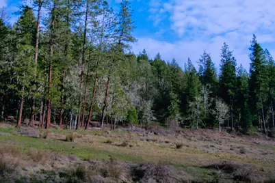 0 Cobleigh Road, Butte Falls, OR 97522 - Photo 1
