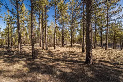 62939 Ostrom Drive #Lot 22, Bend, OR 97703 - Photo 1