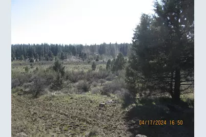 Brant Drive Lot 35, Bonanza, OR 97623 - Photo 1