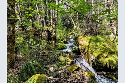 39061101 Bear Wallow Road, Cave Junction, OR 97523 - Photo 1
