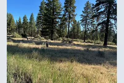 Lot 2900 Teal Drive, Bonanza, OR 97623 - Photo 1
