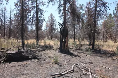 0 Cuscus Lane #Lot 12, Bonanza, OR 97623 - Photo 1