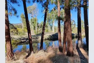 Hwy 140 E #Lot 100, Beatty, OR 97621 - Photo 1