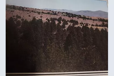 6923 Grouse Creek Road, Ironside, OR 97908 - Photo 1