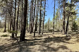 Wampum Ln, Chiloquin, OR 97624 - Photo 1