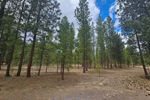 52081 White Fir, La Pine, OR 97739 - Photo 1