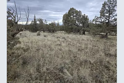 Ne Coyner #1, Redmond, OR 97756 - Photo 1