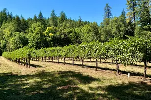 350 Mona Way, Cave Junction, OR 97523 - Photo 1