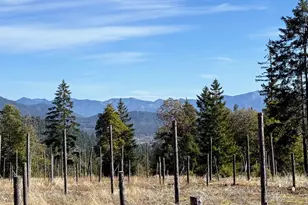 Cedar Flat Rd, Cave Junction, OR 97523 - Photo 1