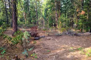 Yak Ln, Bonanza, OR 97623 - Photo 1