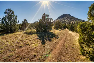 1755 Lost Coyote, Mitchell, OR 97750 - Photo 1