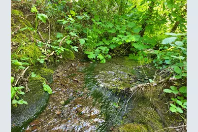 555 Three Mill Road, Selma, OR 97538 - Photo 1