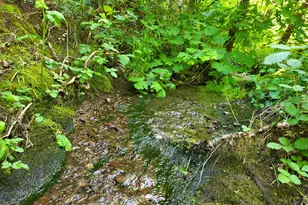 555 3 Mill Rd, Selma, OR 97538 - Photo 1