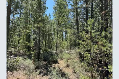 Gabriel Court #50, Crescent Lake, OR 97733 - Photo 1