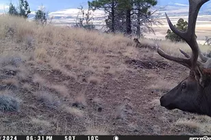 Fs Road 613, John Day, OR 97845 - Photo 1