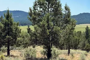 Skamania St, Chiloquin, OR 97624 - Photo 1