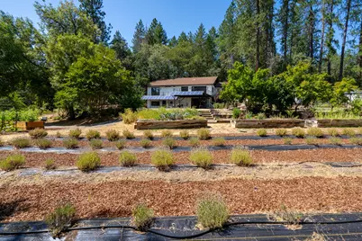 445 Timber Lane, Grants Pass, OR 97526 - Photo 1