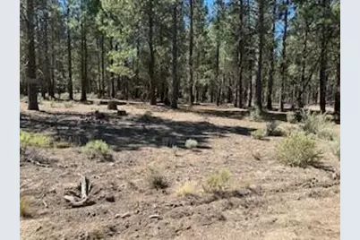 0 Gray Wolf Lane #Lot 11, Sprague River, OR 97639 - Photo 1