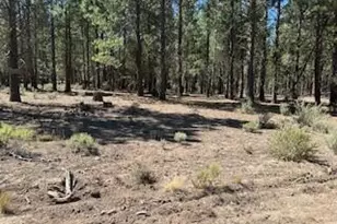0 Gray Wolf Ln, Sprague River, OR 97639 - Photo 1