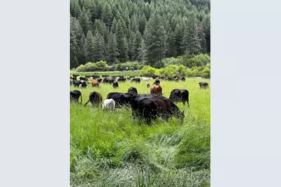 Usfs 36 Road, Mount Vernon, OR 97865 - Photo 1