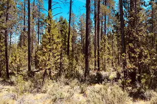 55920 Browning Dr, Bend, OR 97707 - Photo 1