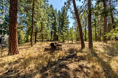 380 S Timber Creek Drive, Sisters, OR 97759 - Photo 1