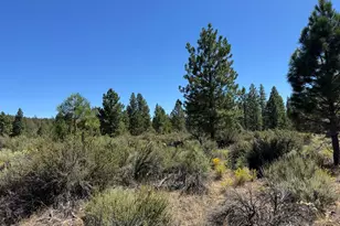 Bufflehead Dr, Bonanza, OR 97623 - Photo 1