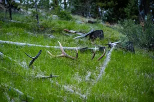 52960 Cummings Creek Rd, Mount Vernon, OR 97865 - Photo 1