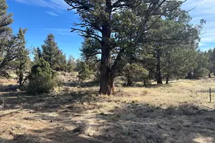 SE Renegade Loop, Prineville, OR 97754 - Photo 1