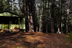 140 Draper Valley Rd, Selma, OR 97538 - Photo 1