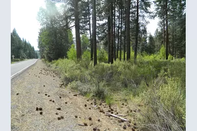 3000 Hwy 422 N #3000, Chiloquin, OR 97624 - Photo 1