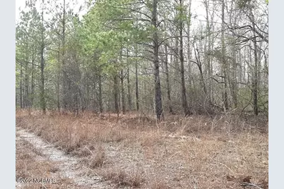 D08-66 John Pollock Road, Grantsboro, NC 28529 - Photo 6