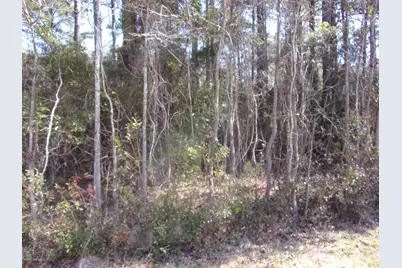 115 Cartuca Trail, Beaufort, NC 28516 - Photo 6