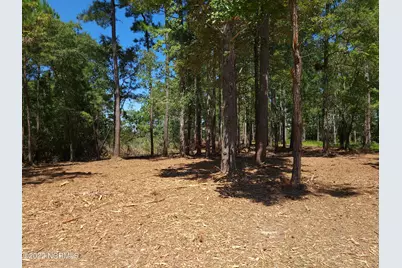 6 Ashton Drive, Bath, NC 27808 - Photo 10