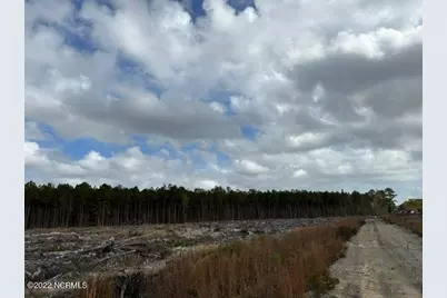 0 Ahoskie Cofield Road, Ahoskie, NC 27910 - Photo 14
