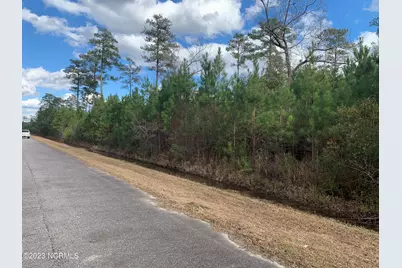 242 Castaway Road, Merritt, NC 28556 - Photo 2