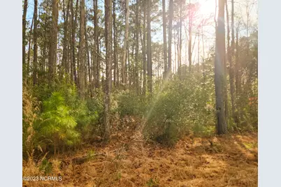 153 Oswell Brinson Road, Merritt, NC 28556 - Photo 2