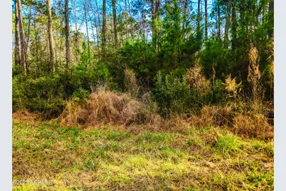 153 Oswell Brinson Road, Merritt, NC 28556 - Photo 4