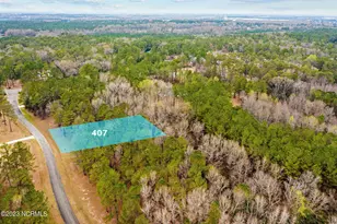 407 ANNA Ln, Snow Hill, NC 28580 - Photo 1