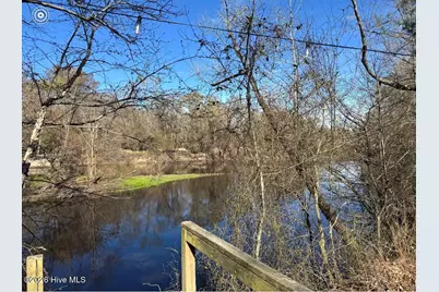 0 E Marney Drive, Burgaw, NC 28425 - Photo 16