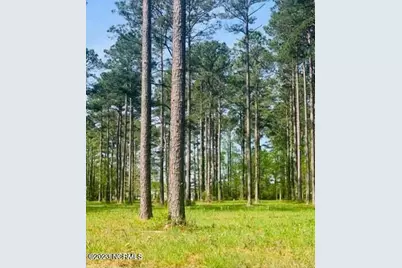 52 Corolla Loop Road, Arapahoe, NC 28510 - Photo 2