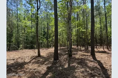Lot 1 Port Drive, Oriental, NC 28571 - Photo 38