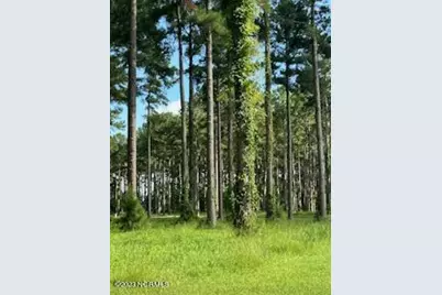 96 278 Dawson Creek Blvd, Oriental, NC 28571 - Photo 2