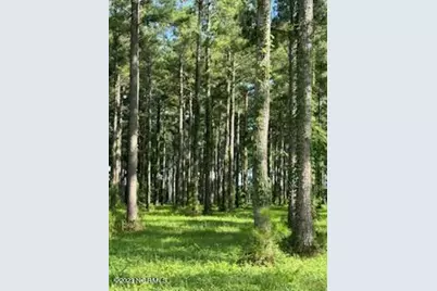 95 147 Dawson Creek Blvd, Oriental, NC 28571 - Photo 4