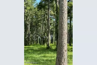 95 147 Dawson Creek Blvd, Oriental, NC 28571 - Photo 2