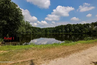000 S Nc 581 Highway, Bailey, NC 27807 - Photo 24