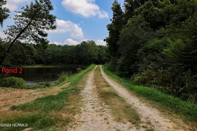 000 S Nc 581 Highway, Bailey, NC 27807 - Photo 28